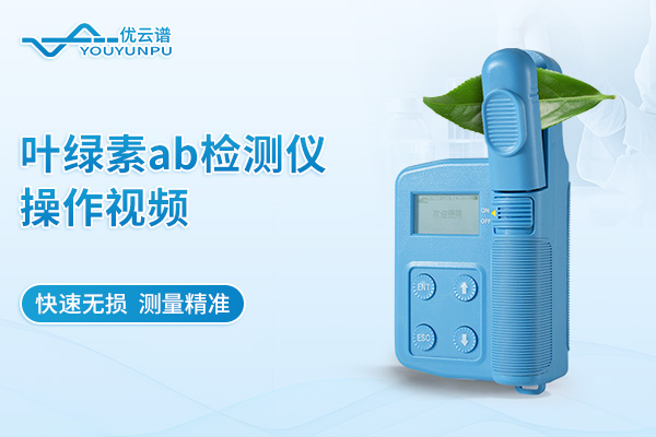 叶绿素ab检测仪操作视频