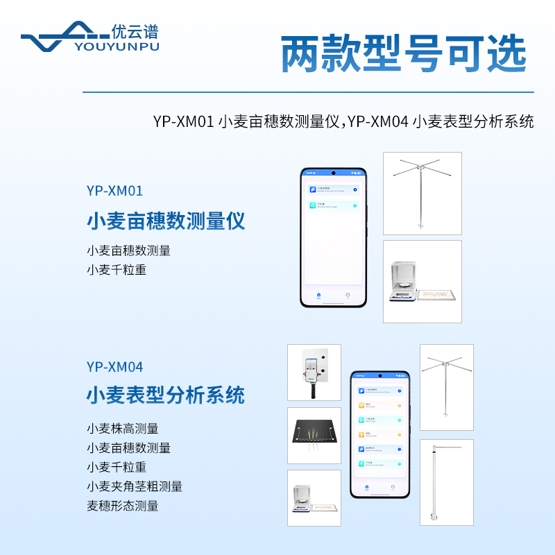 小麦表型测量仪