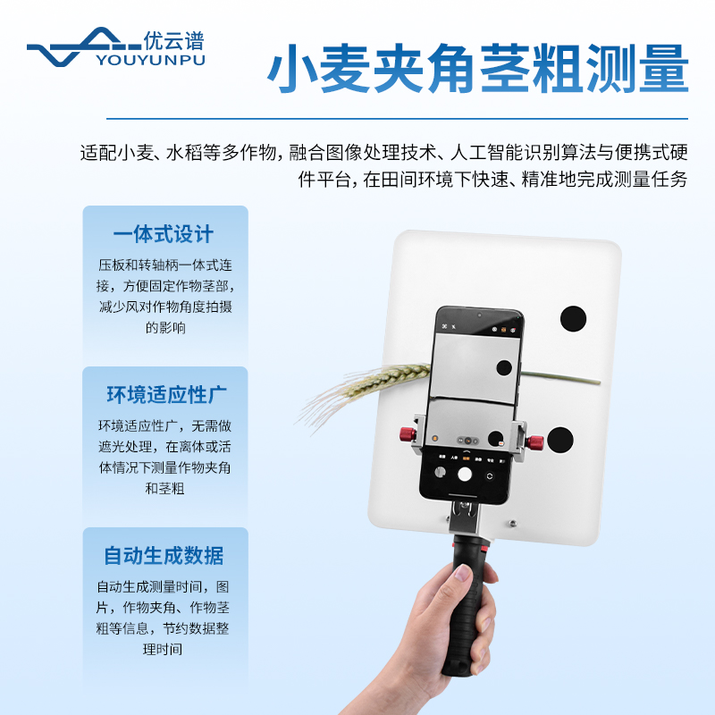 小麦表型测量仪