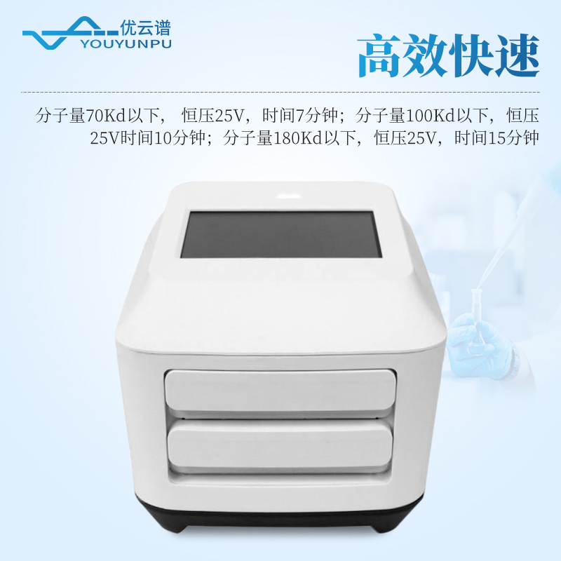 全能蛋白转印系统