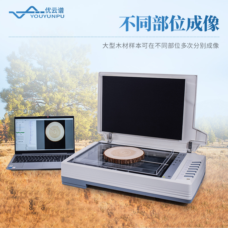 树木年轮分析仪