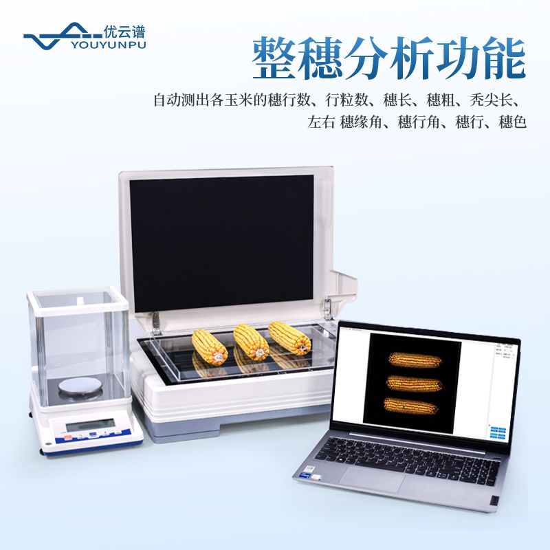 玉米考种分析仪