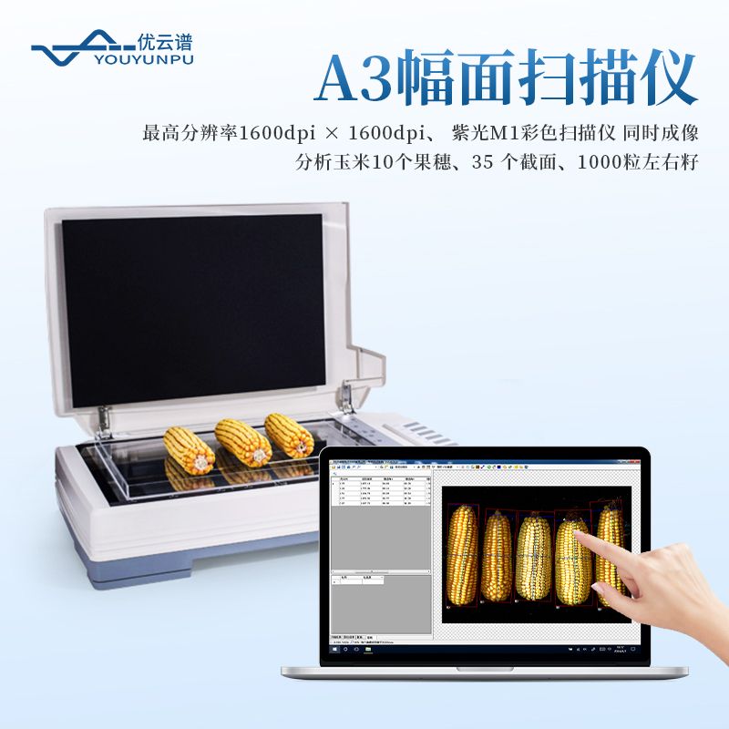 玉米考种分析仪