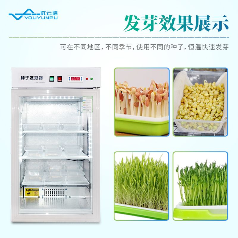 种子发芽恒温培养箱