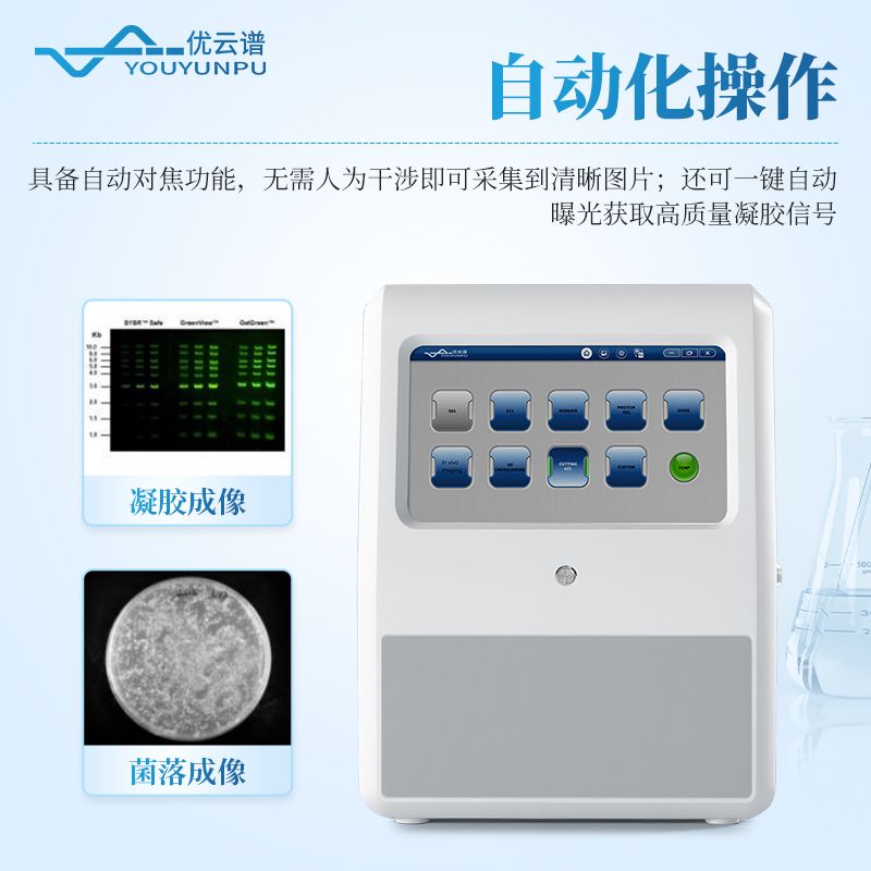 凝胶成像系统