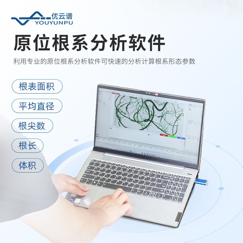 原位根系分析仪