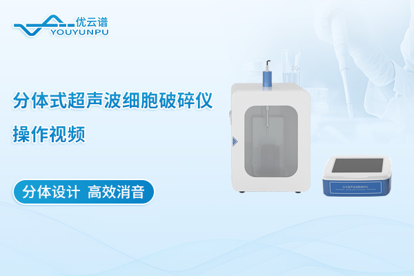 分体式超声细胞破碎仪操作视频