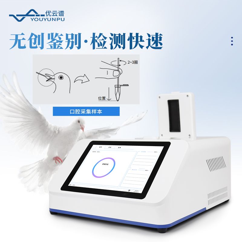 鹦鹉性别检测仪