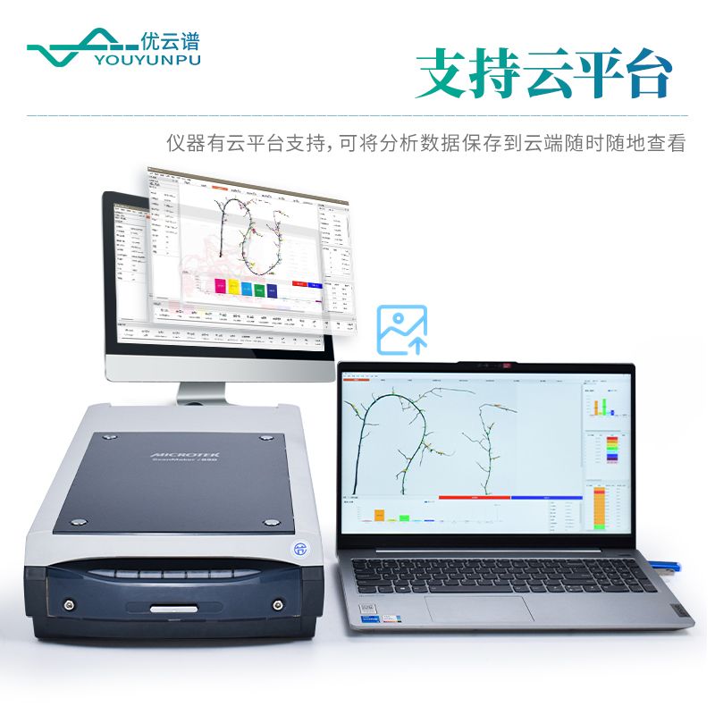 根系分析系统
