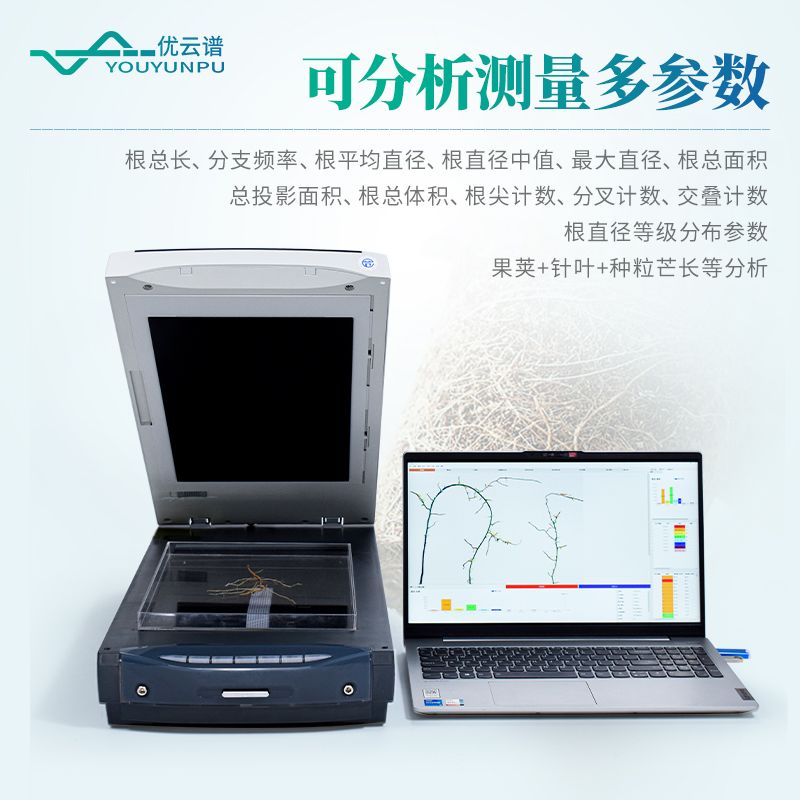 植物根系分析仪