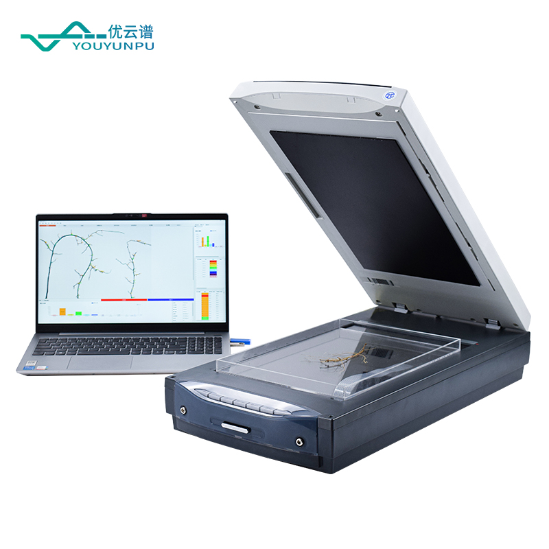 根系分析系统品牌深度对比：批量保存 + 可编辑修正 + 分叉合并操作谁更强