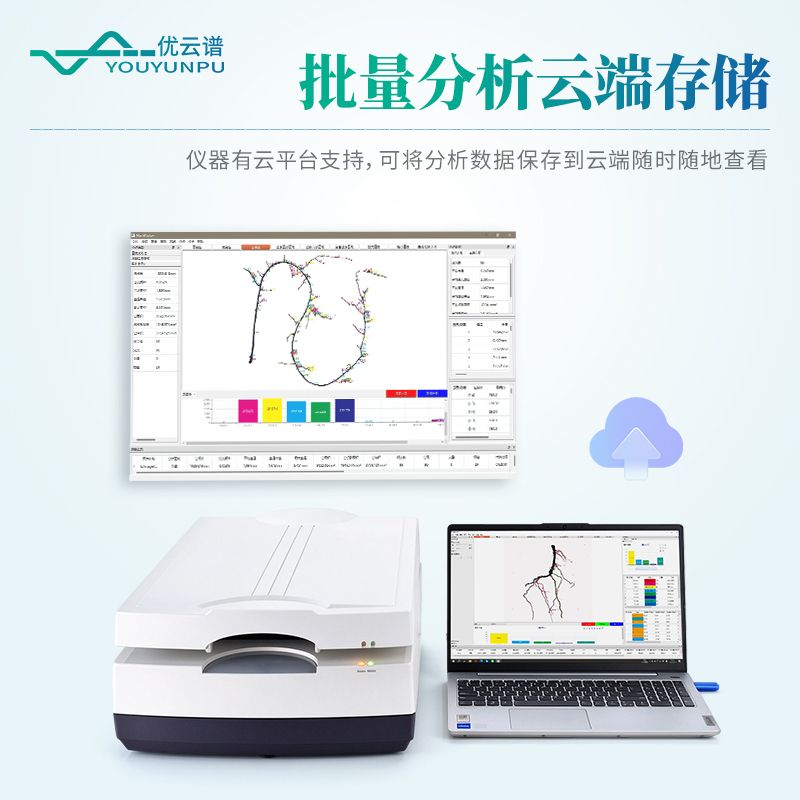 植物根系分析系统
