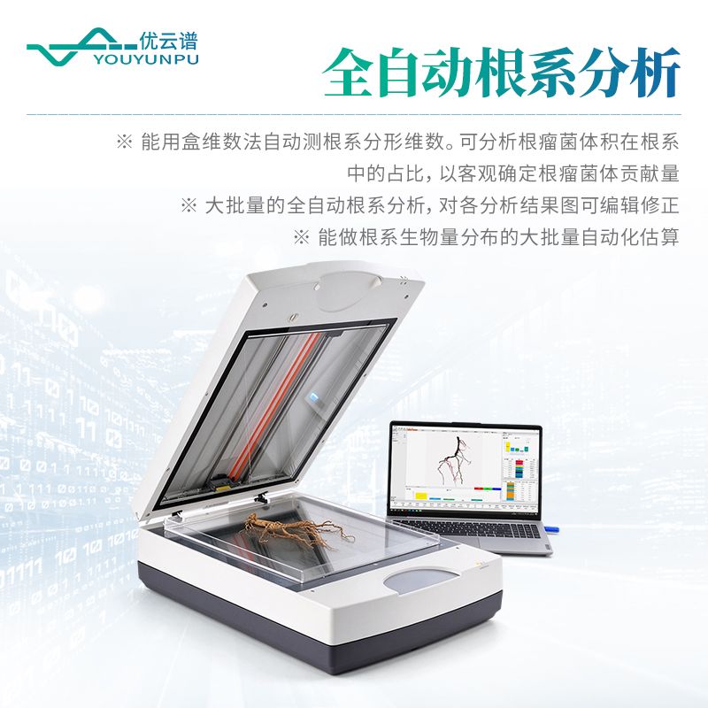 根系分析仪