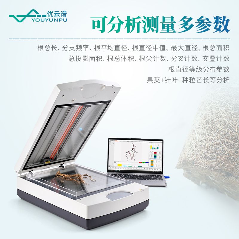 植物根系分析系统