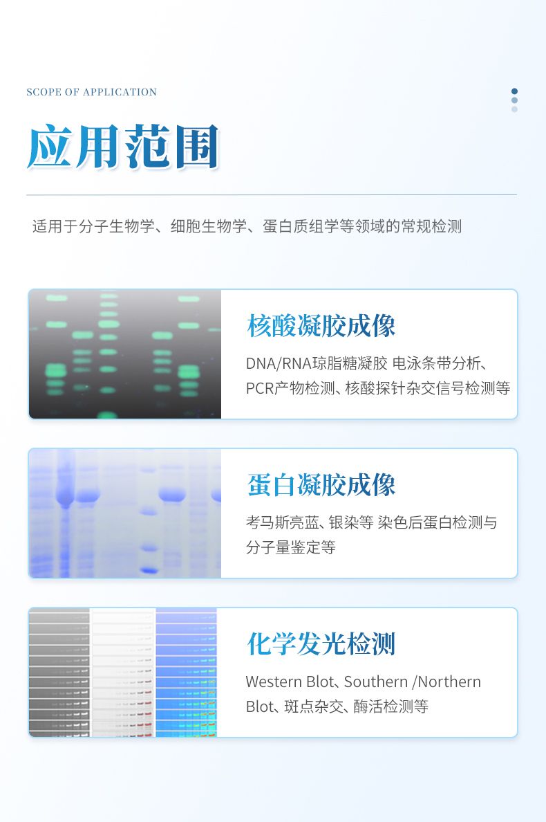 详情_04_790x1188