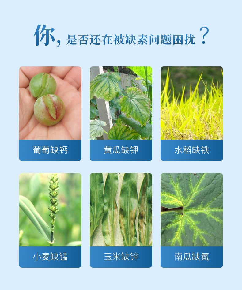 详情1_02_790x947