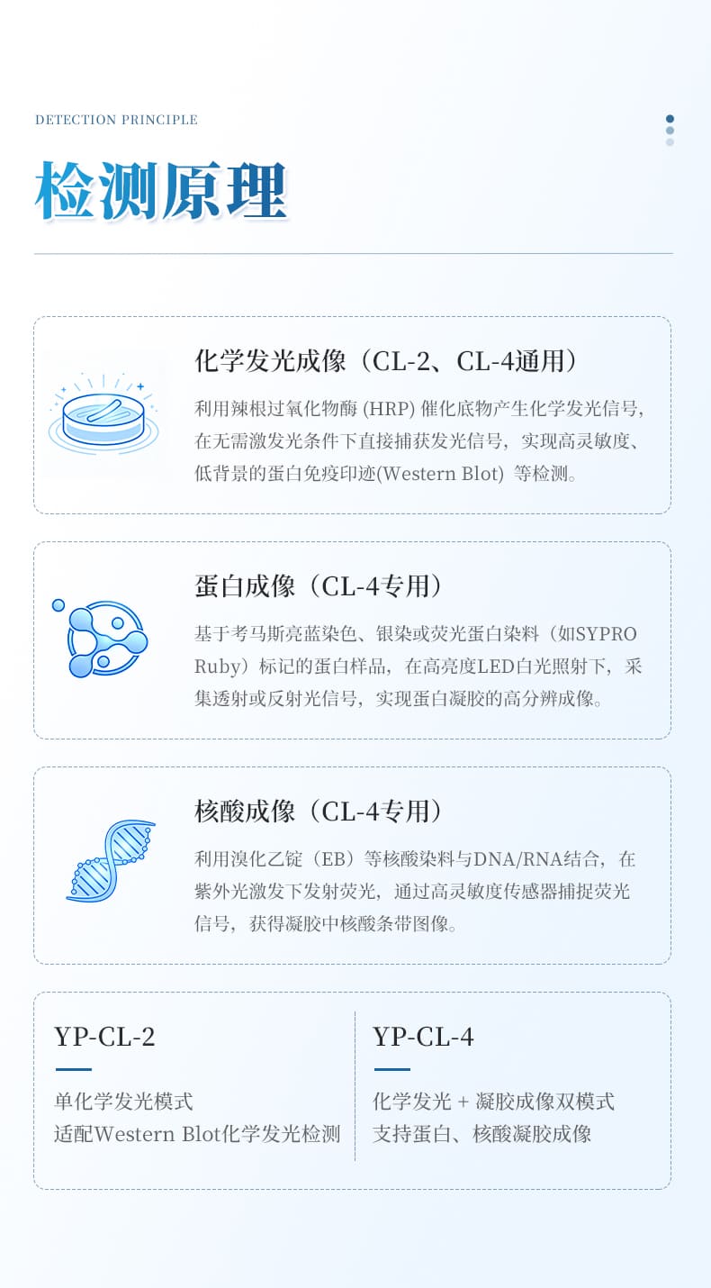 详情_03