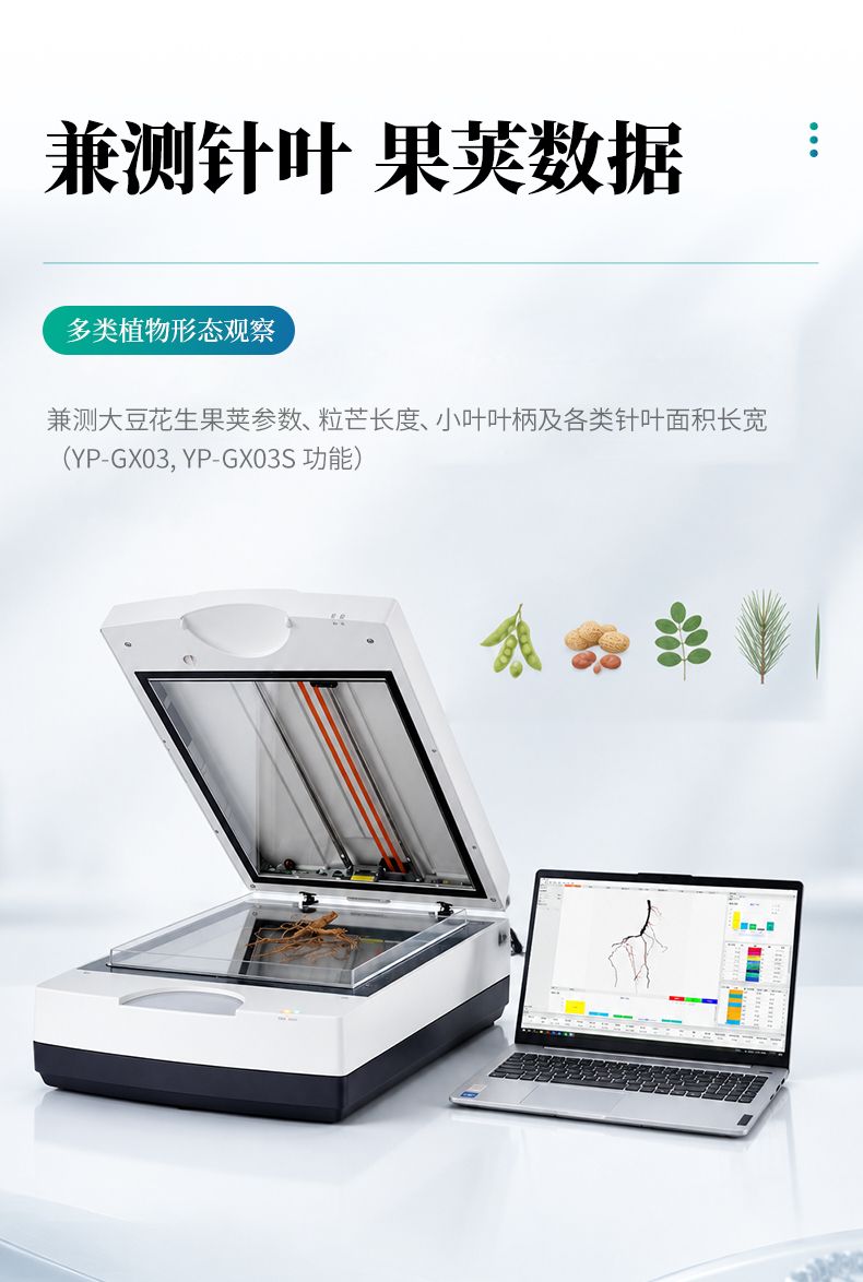 详情_08
