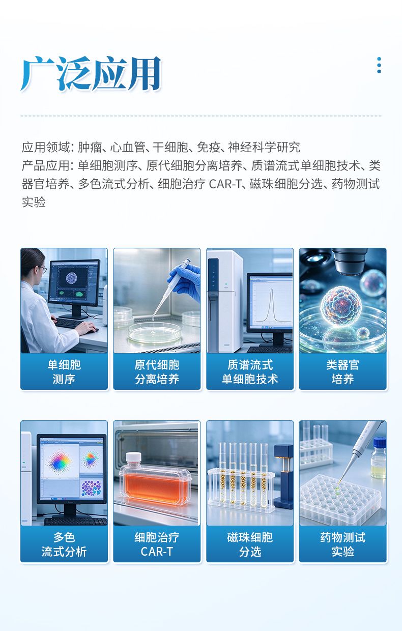 详情_03
